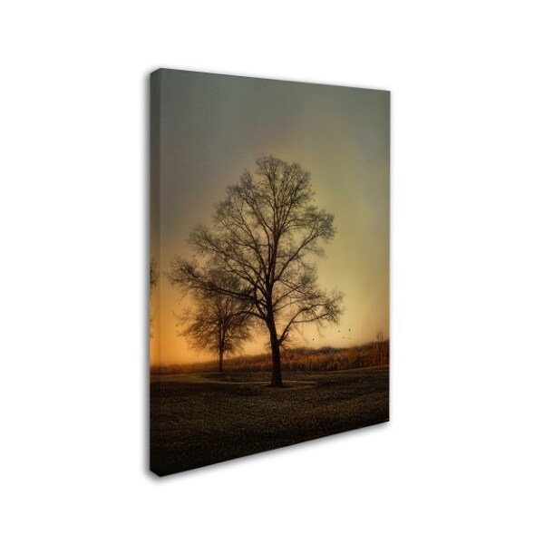 Jai Johnson 'Sunset At The Cotton Field' Canvas Art,35x47